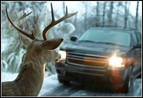 Deer Whistle / Deer Alert