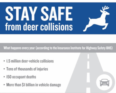 AAA Communications Deer Alert Data Vehicle Collisions